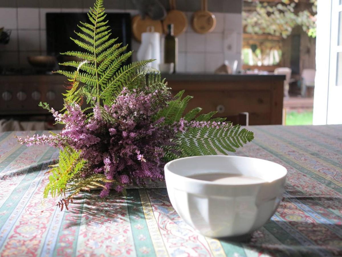 Les Jardins D'Atyoula Losse Dış mekan fotoğraf
